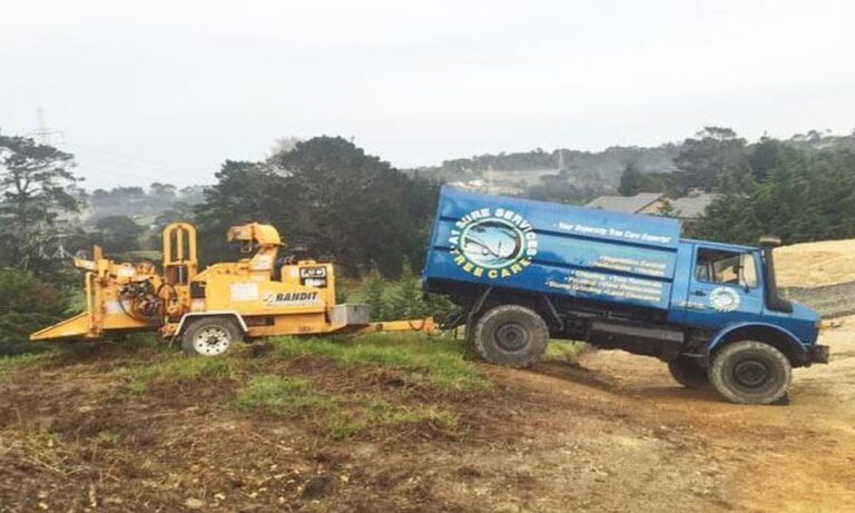 How Site Clearance in Auckland Sets the Stage for Successful Construction Projects