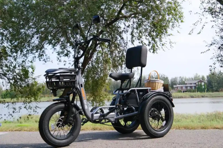 Unlock Freedom and Fun: Why an Electric Tricycle for Adults is Your Next Adventure
